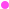 pink dot-5